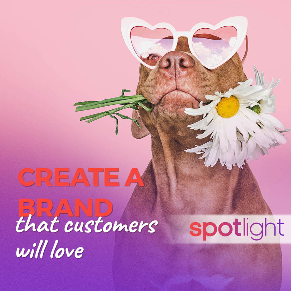 Create a brand spotlight
