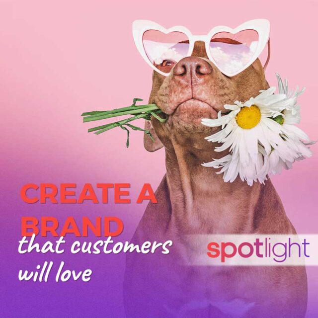 brand loyalty programs brand loyalty programs